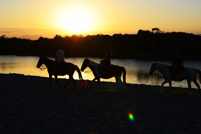 2-Hour Horseback Riding Tour at Sunset from Punta Cana - Key points before you go
