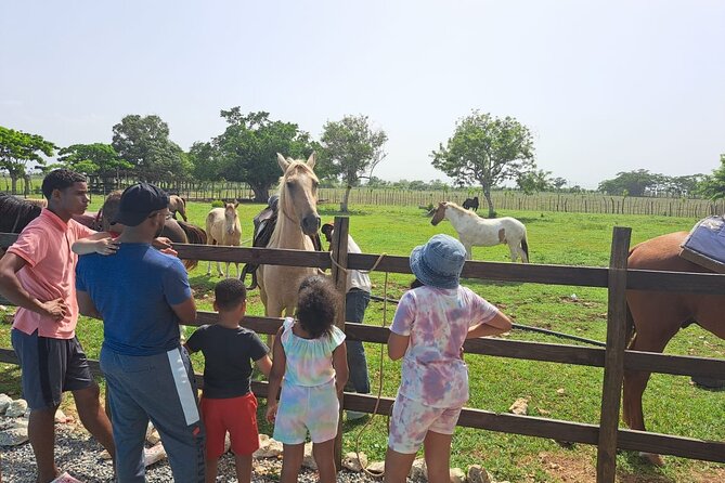 2-Hour Horseback Riding Tour at Sunset from Punta Cana - Photography: how it works and how to plan around it