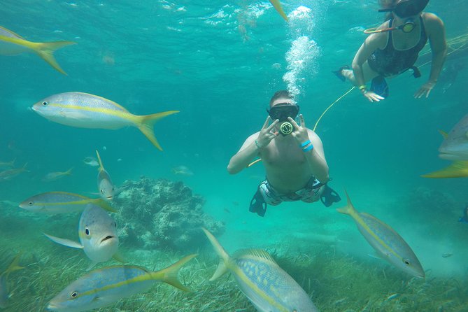 3 ADVENTURES: Sailing Catamaran Cruise - Hooka Diving - Snorkeling - Price and value: is $105 fair for what you actually get?