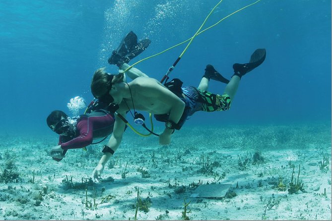 3 ADVENTURES: Sailing Catamaran Cruise - Hooka Diving - Snorkeling - Snorkeling near the coral barrier: how to make it better