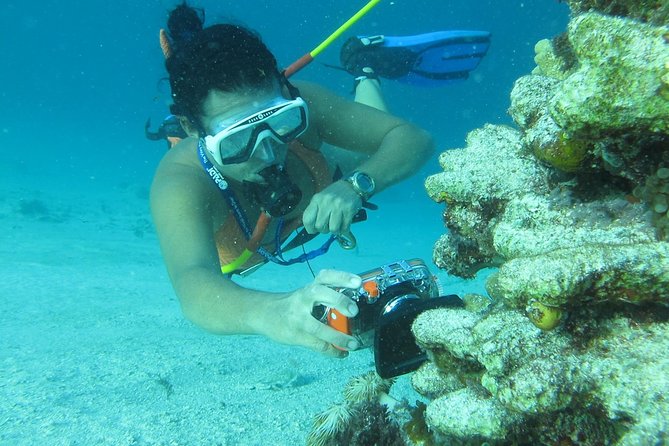 3 ADVENTURES: Sailing Catamaran Cruise - Hooka Diving - Snorkeling - Crew and safety: why guidance is the real luxury here