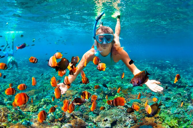 3 hrs Glass Boat Tour in Punta Cana - Who this glass-bottom tour suits best in Punta Cana
