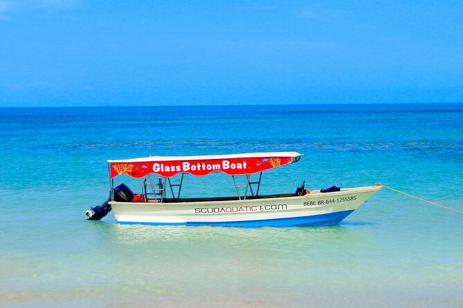 3 hrs Glass Boat Tour in Punta Cana - Should you book this glass-bottom boat tour in Punta Cana?