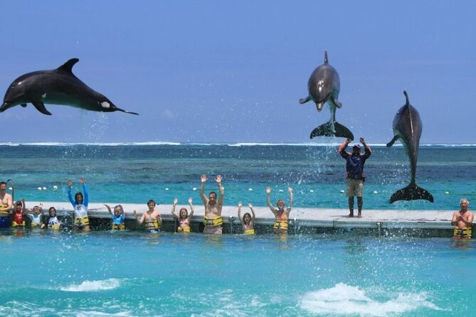 3 hrs Glass Boat Tour in Punta Cana - FAQ
