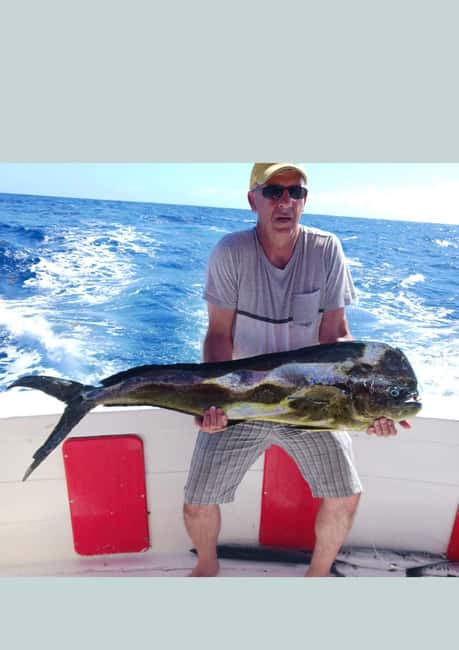 4 hour deep sea fishing experience from punta cana - Key takeaways before you go