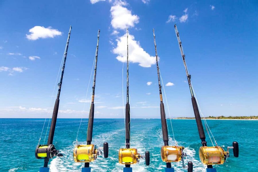 4 hour deep sea fishing experience from punta cana - The open-water portion: what 4 hours of trolling actually involves