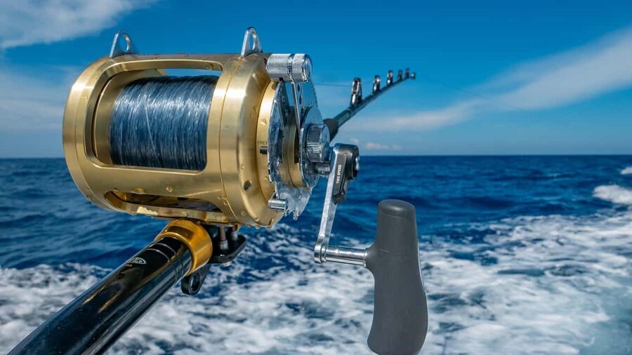 4 hour deep sea fishing experience from punta cana - Getting to Cabeza De Toro: the land start of the day