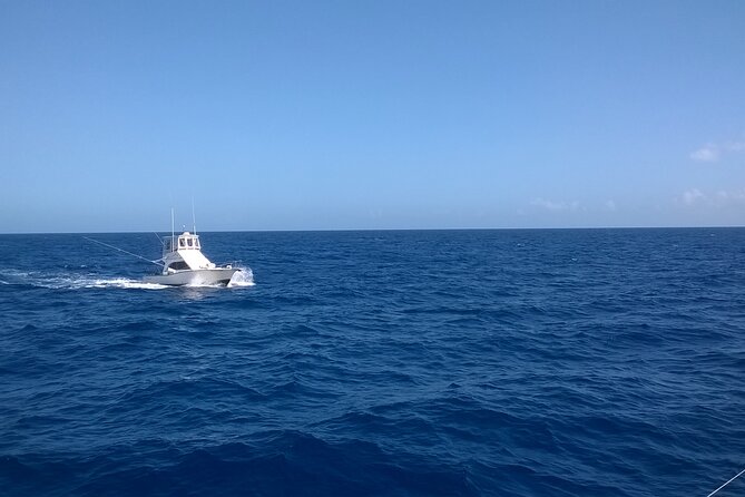 4 Hour Punta Cana Fishing Tour - The On-Water Rhythm: What “4 Hours Fishing” Feels Like
