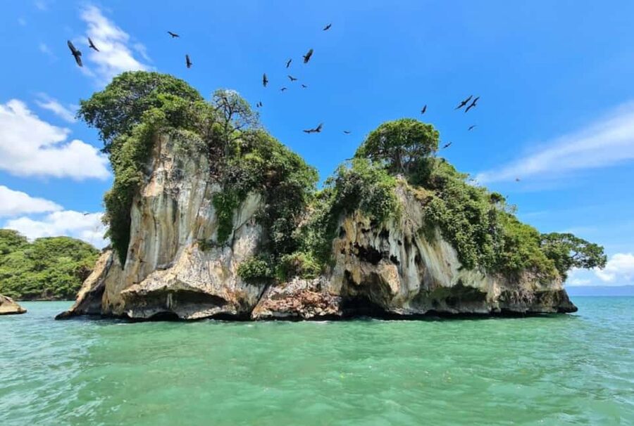4in1: Los Haitises+ Kayaking+ Natural Pools+ Montana Redonda - Cano Hondo natural pools: the swim stop you’ll remember