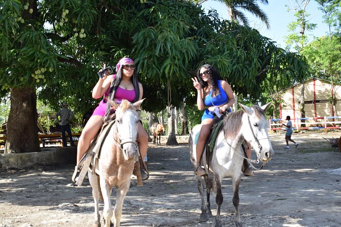 5 tours in 1 (Eco Farm/Horseback/City Tour/Buggy/Zipline) - A 5-in-1 day around Cap Cana: farm, horses, zipline, buggy, and church