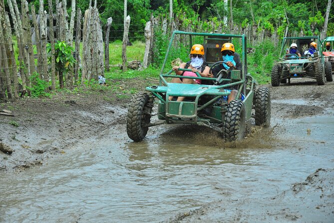 5 tours in 1 (Eco Farm/Horseback/City Tour/Buggy/Zipline) - Price and what you actually get for $119.99