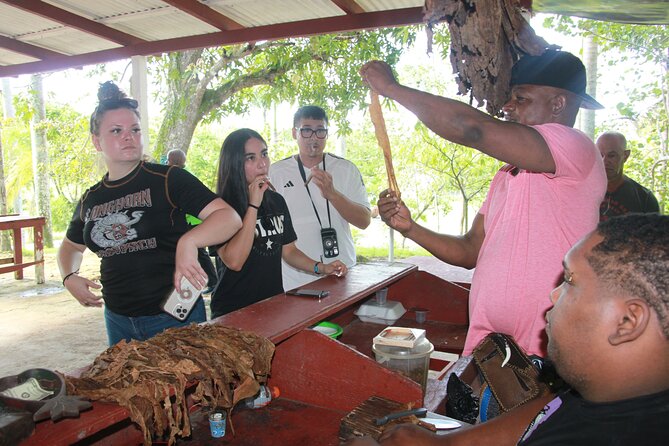 5 Tours of Jungle and Dominican Culture with Lunch - Off-Road Buggies to Cenotes and Macao Beach: Caves, Swimming, and Mamajuana
