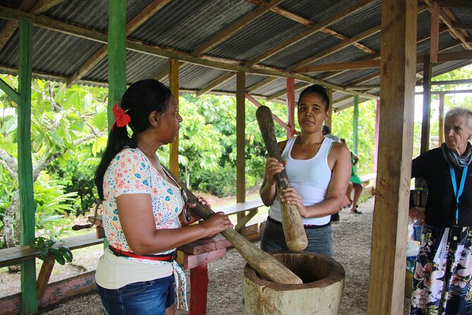5 Tours of Jungle and Dominican Culture with Lunch - Price and Value: Is $159.98 a Fair Deal for This Many Stops?