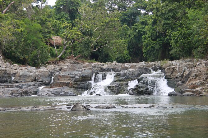 5 Tours of Jungle and Dominican Culture with Lunch - Who This Tour Works Best For (And Who Should Skip It)