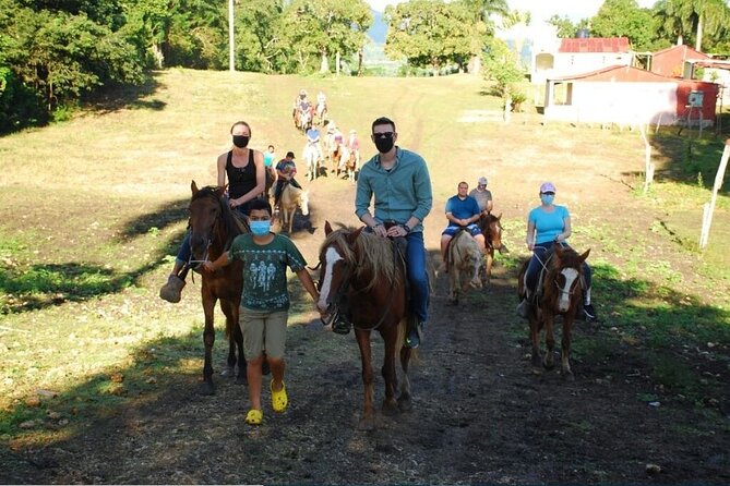6 in 1 tours Full Day Safari, Zipline, Buggies and Horse Riding - The Hacienda with Cigar Twisting and Mamajuana