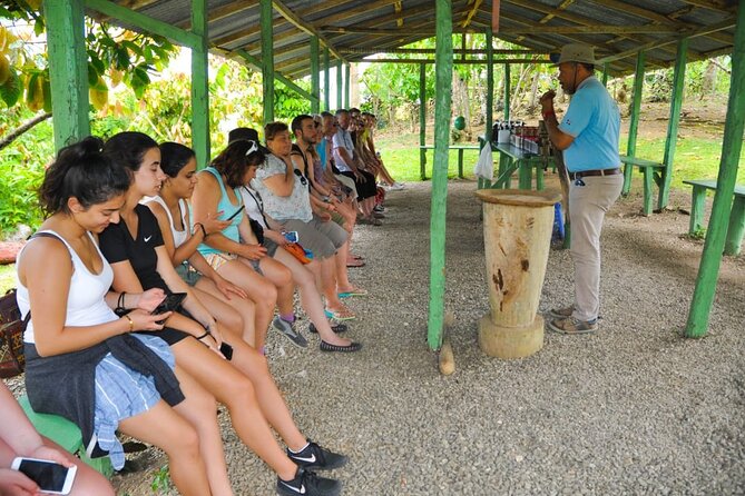 8-Hour Tour Enjoying the Dominican Culture Through the Countryside - Anamuya River Swim: The Cool Reset (and What to Plan For)