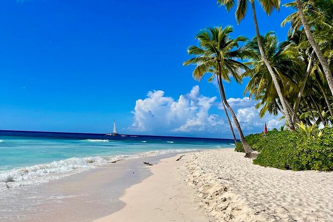 A Magical Day on Saona Island - Key highlights to look for