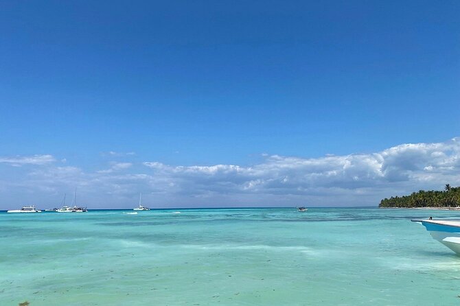 A Magical Day on Saona Island - Price and value check: what $76.50 buys you in real terms