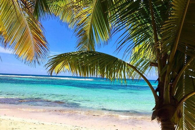 A Magical Day on Saona Island - Weather and timing: the two things that can change your day