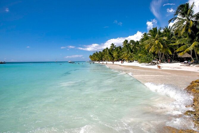A Magical Day on Saona Island - Isla Saona: the beach time that actually lets you breathe