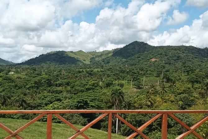 Adrenaline Total: Zipline Tour in Punta Cana - Price and Value: Is $78 a Good Deal?