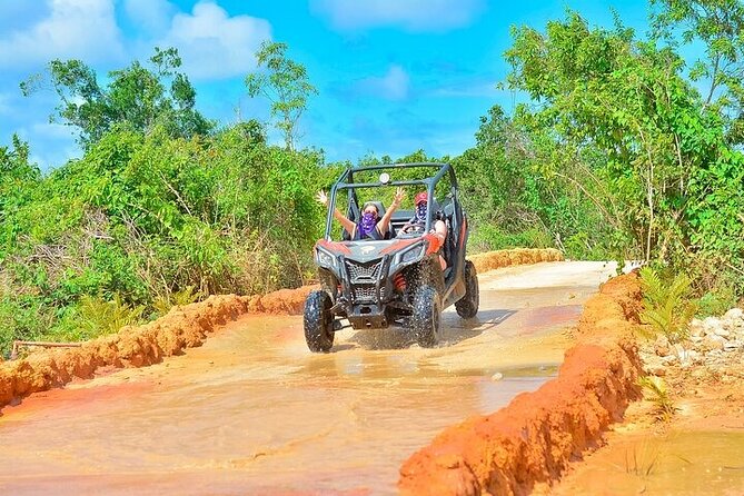 Adventure Tour con Buggies Ziplining Cenote y Taino Culture - Organic Tastings: Coffee, Cacao, and Mamajuana