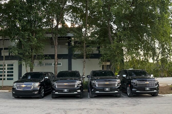 Affordable Private Airport Transfer in Punta Cana - Key things I’d pay attention to
