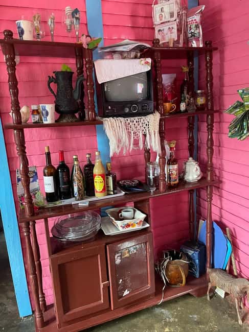 All-Inclusive Day Trip from Punta Cana: DR Culture Immersion - Key Highlights You’ll Actually Feel During the Day
