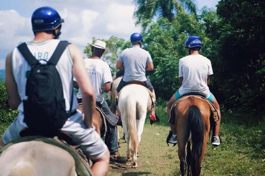 All-Inclusive Day Trip from Punta Cana: DR Culture Immersion - Plantations in La Altagracia: Coffee, Cacao, and Sugar Cane Tastings