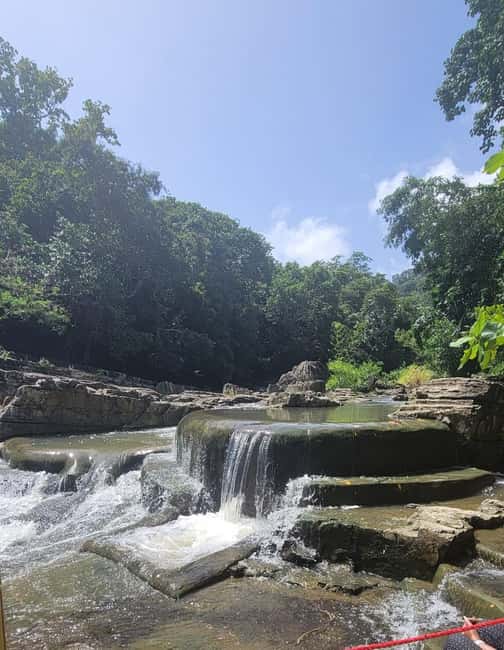 All-Inclusive Day Trip from Punta Cana: DR Culture Immersion - Meeting a Local Farmer Family: Home Life, Work, and Food