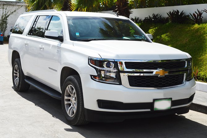 Arrival Luxury Transportation: Punta Cana International Airport to Hotels (1-5) - Meeting your driver at PUJ: nameplate, voucher, and fast pickup