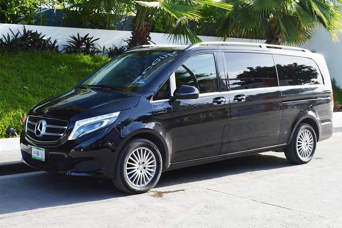 Arrival Luxury Transportation: Punta Cana International Airport to Hotels (1-5) - Ride comfort: air-conditioned SUV and what “private” really means