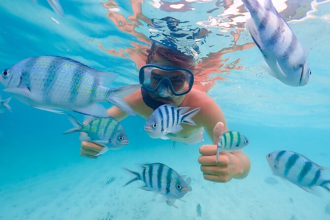 Bacardi Island Excursion with Catamaran, Beach and Lunch - Key points I’d focus on before you go