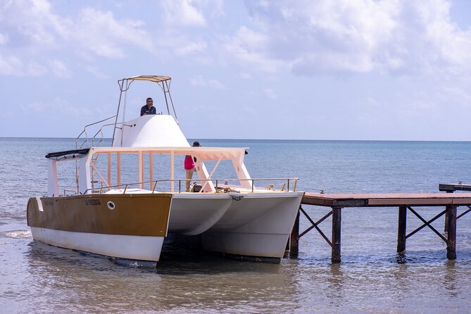 Bacardi Island Excursion with Catamaran, Beach and Lunch - Lunch on a Beach Schedule: buffet and two drinks included