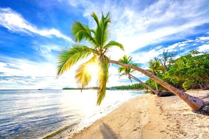 Barceló Bávaro Palace - Round Trip Shuttle - Punta Cana Airport - The Ride Itself: What 20–30 Minutes Means for Your Day