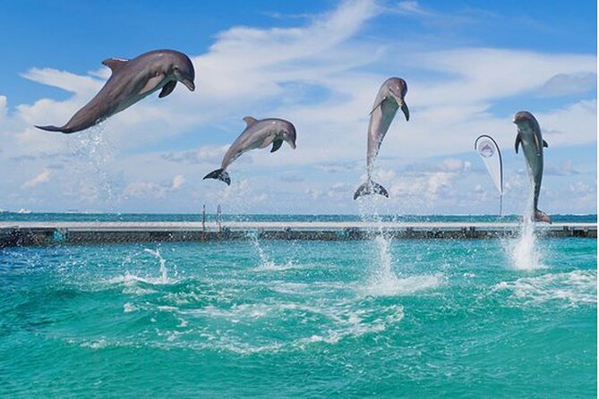 Bavaro Punta Cana EN boat party with drinks and transportation - What to pack (because the little stuff matters here)