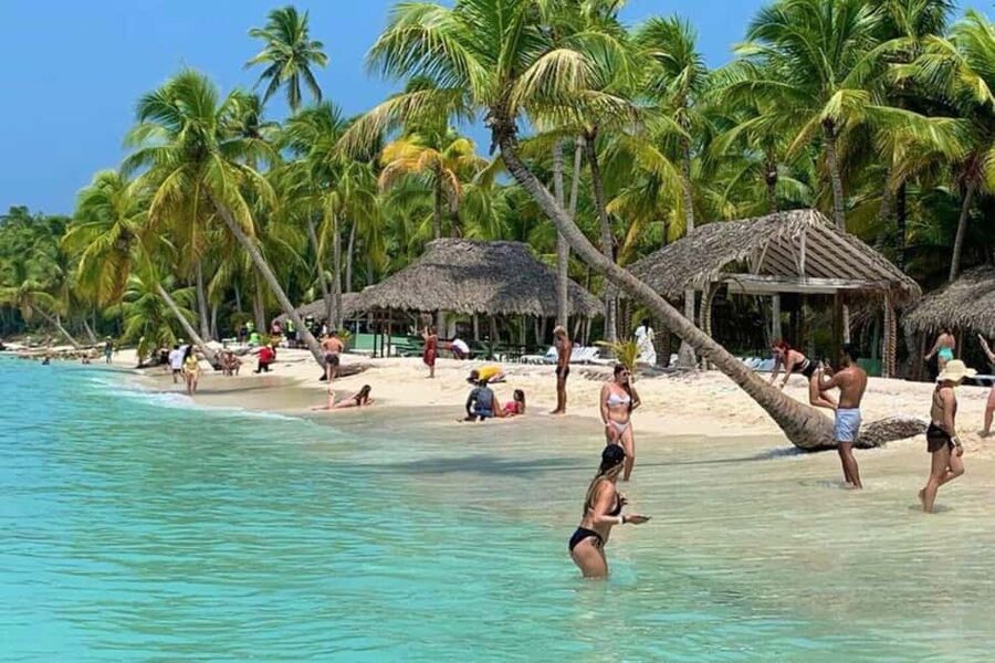 Bavaro: Saona Island Speedboat Tour with Open Bar - From the Bayahibe Area to the Water: Transport, Timing, and Group Size
