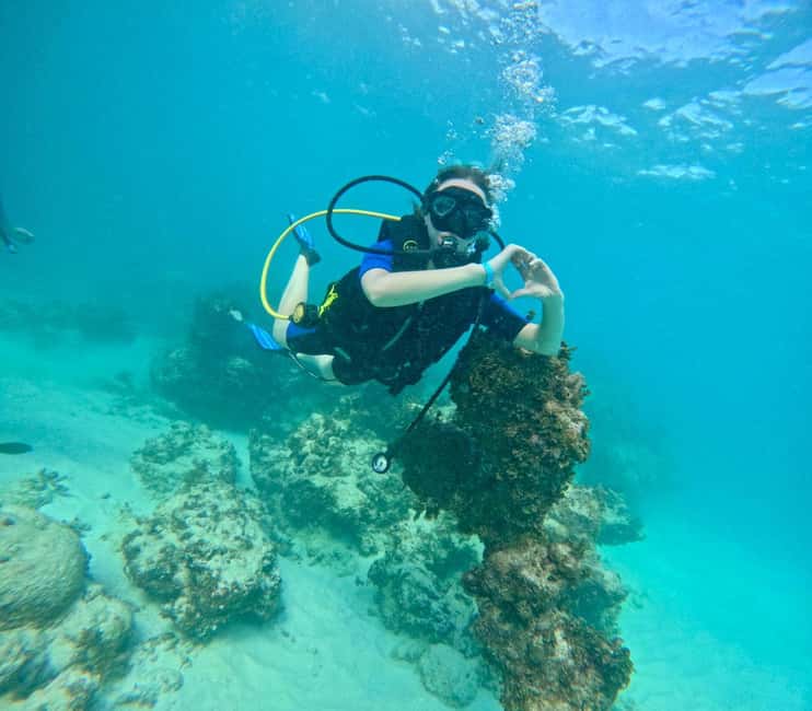 Bávaro: Scuba Diving Experience for Beginners - What this $100 program is really for