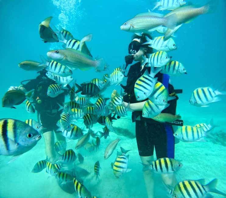 Bávaro: Scuba Diving Experience for Beginners - Quick hits: what matters most in Bavaro