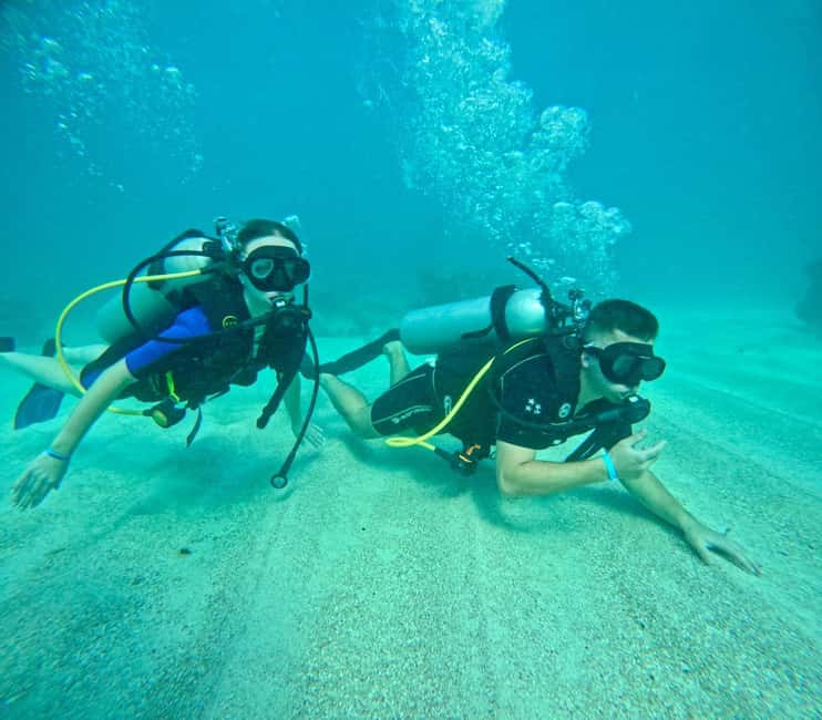Bávaro: Scuba Diving Experience for Beginners - Price and value: what $100 buys in real terms