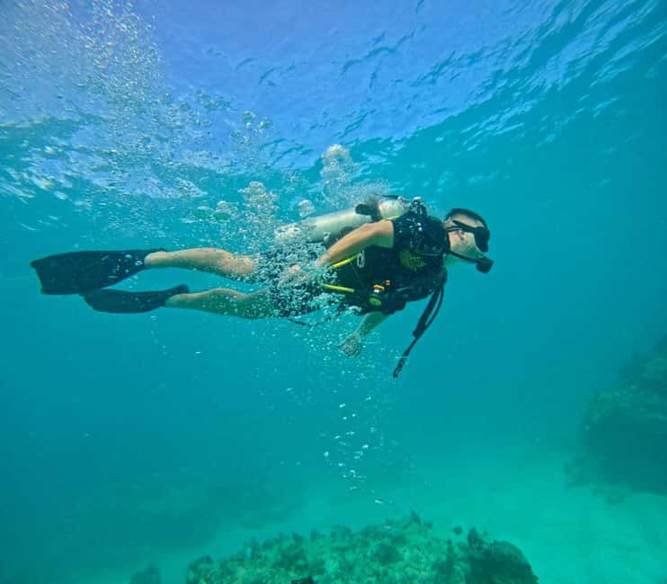 Bávaro: Scuba Diving Experience for Beginners - Punta Cana’s beginner scuba program: how the day actually feels