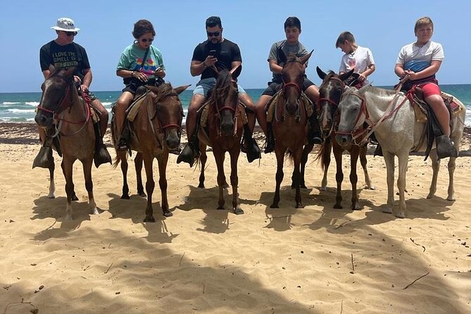Beach Horseback Ride Tour at Punta Cana - What Could Be a Downside for You