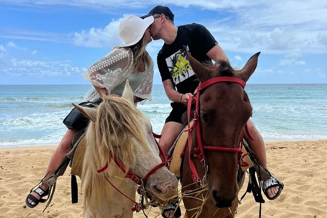 Beach Horseback Ride Tour at Punta Cana - First Moments on the Sand: Setup and Friendly Animal Encounters