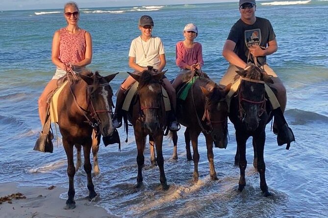 Beach Sunset Horseback Ride in Punta Cana - Who Should Book This Sunset Ride (and Who Should Skip)