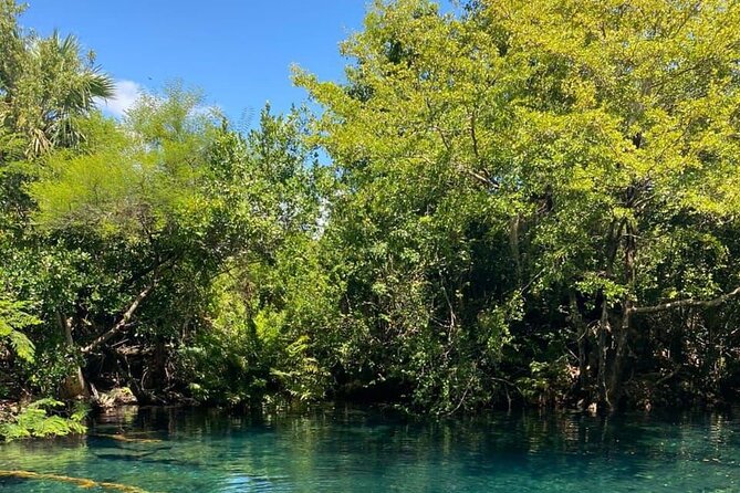 Blue Lagoon Tour with Catamaran Cruise and Snorkeling - Catamaran Cruise Along Punta Cana: Open Bar, Music, and a Natural Pool