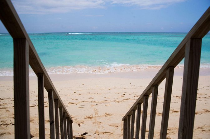 Breathless Punta Cana Resort & Spa - Round Trip Shuttle - Punta Cana Airport - Pickup and Meet-Up: Where You Start the Trip