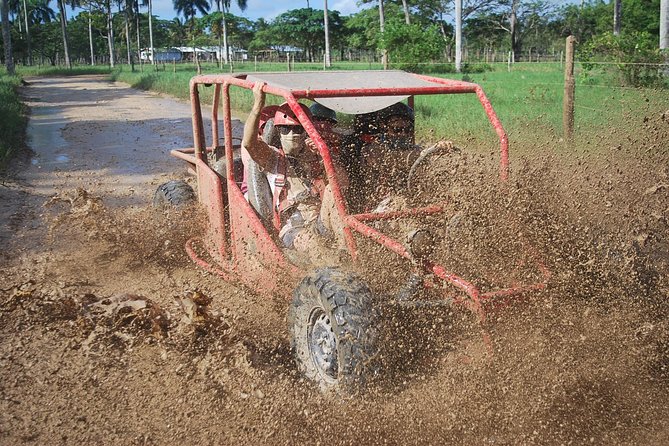 Buggies Experience From Punta Cana - Key Highlights I Think You’ll Care About
