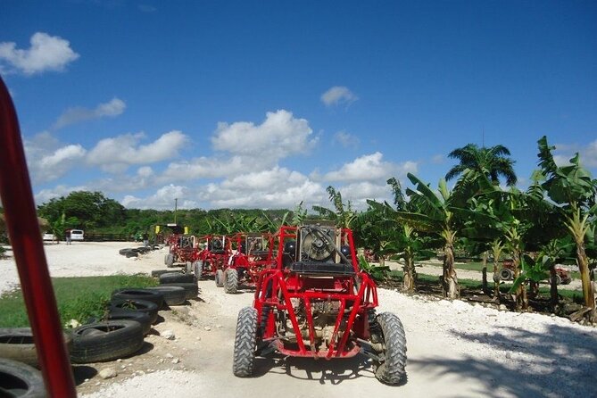 Buggies Half Day Experience and Cenote - Macao Beach: your quick swim break (and how to make it count)