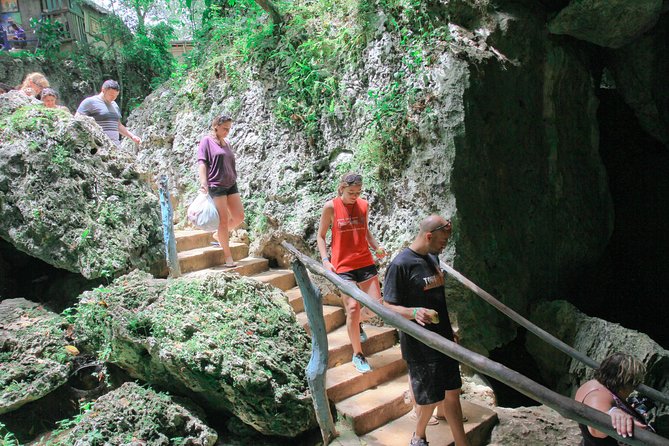 Buggies Half Day Experience and Cenote - Timing and group size: why your day might feel tight