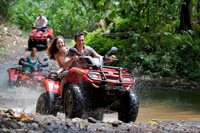 Buggies Macao Beach Tour and Taíno Cave Adventure - Quick Hits Before You Go